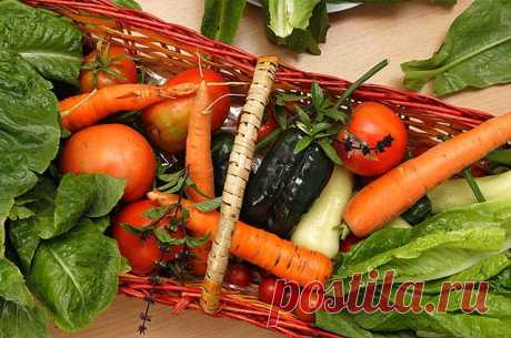 Компаньоны жирных блюд. 8 продуктов, которые снижают уровень холестерина