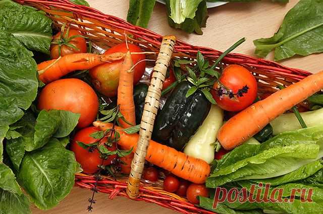 Компаньоны жирных блюд. 8 продуктов, которые снижают уровень холестерина