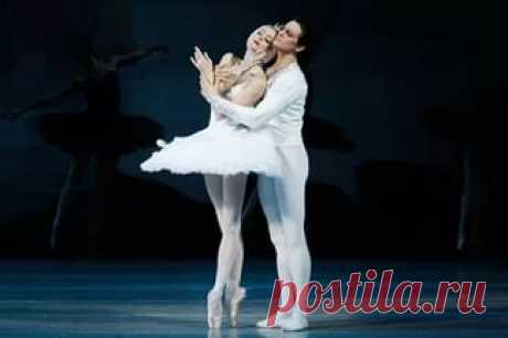 балерина фото: 19 тыс изображений найдено в Яндекс.Картинках
