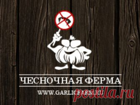 Чесночная паста  Приготовить чесночную пасту очень просто и это один из вариантов длительного хранения чеснока. В дальнейшем эту заготовку можно использовать вместо свежего чеснока.