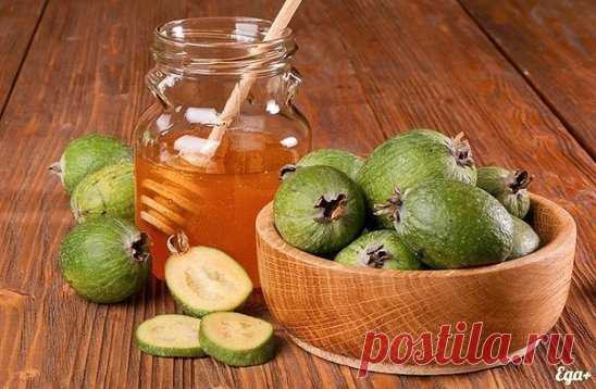 Смесь фейхоа с медом - прекрасный источник йода
Смесь фейхоа с медом – прекрасный состав для регионов, неблагополучных в плане содержания йода, то есть для большей части территории России. Доказана эффективность использования фейхоа с медом при заболеваниях щитовидной железы и сердечно сосудистой системы, ларингитах, ангине, высокой возбудимости нервной системы, а также для профилактики этих заболеваний.
Дефицит йода оказывает крайне отрицательное воздействие на весь организм человека, буквальн