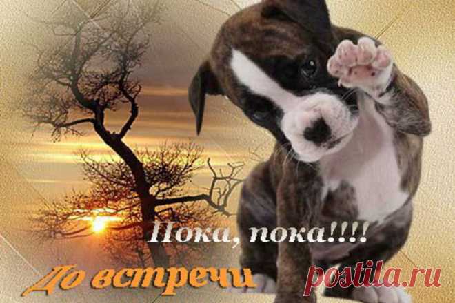 11c9c4ffce81658aca0c42a79ce564fd.jpg (900×600)