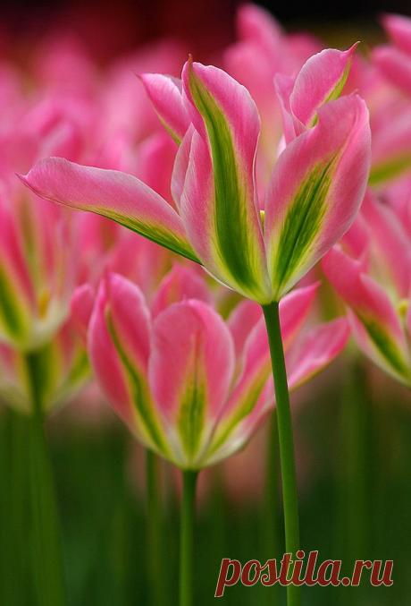 500px / Fluorescent by Elle Elskamp