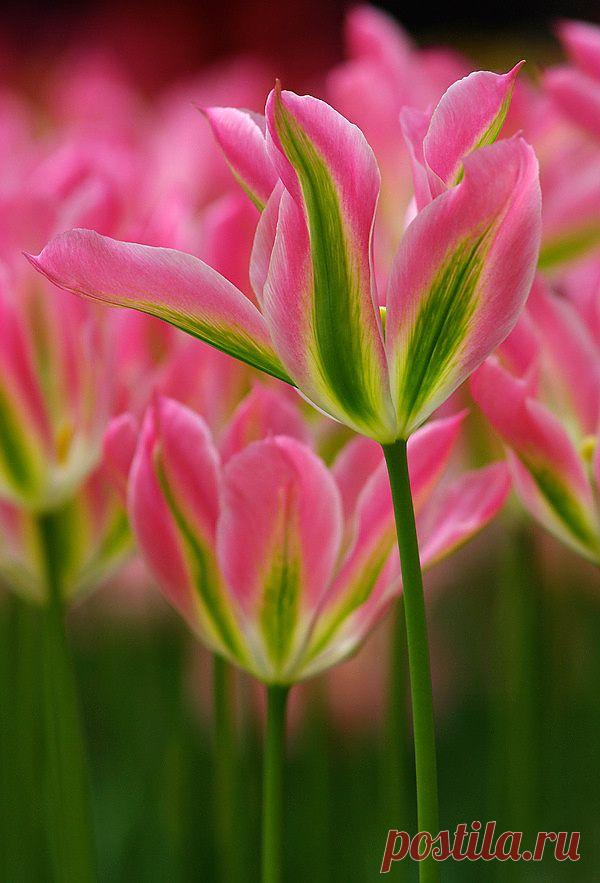 500px / Fluorescent by Elle Elskamp