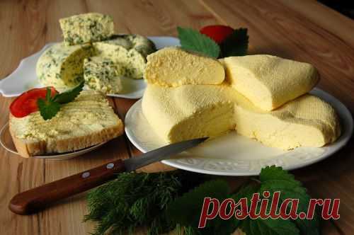 Закусочный сыр