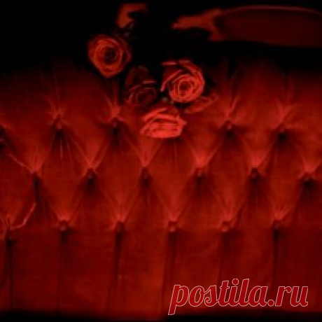 When The Roses Die - Ceremony (Joy Division Cover) (2024) [Single] Artist: When The Roses Die Album: Ceremony (Joy Division Cover) Year: 2024 Country: Portugal Style: Gothic Rock, Darkwave, New Wave