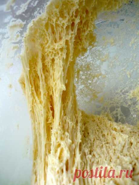 Итальянская закваска - Lievito naturale Оригинал https://www.gennarino.org/lievitonatu.htm Огромная благодарность авторам статьи. Я перепечатываю текст Розы, rozik1965, опубликованный в от здесь .Хочу еще напомнить, что я уже писала о том, как я сама обращаюсь с итальянской закваской вот здесь .  А вот вступительные слова Розы:…
