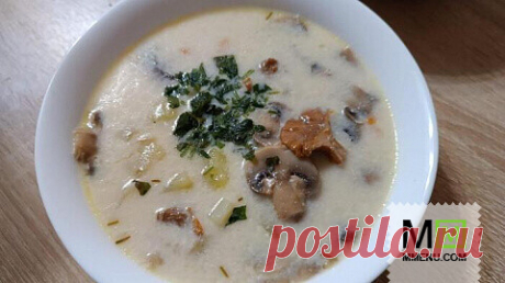 Крем-суп с грибами