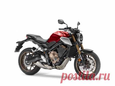 Honda Motor представила новые мотоциклы 2019 модельного года | motonews.ru | Яндекс Дзен
