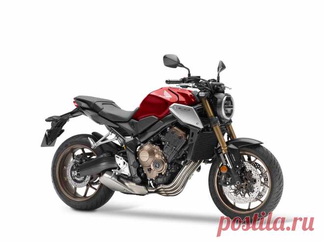 Honda Motor представила новые мотоциклы 2019 модельного года | motonews.ru | Яндекс Дзен