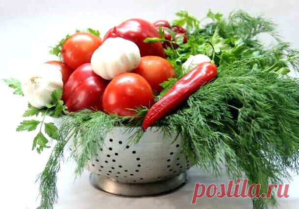 Рецепт зеленой аджики своими руками