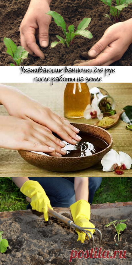 Поможем своим рукам после работы на грядках — 6 соток