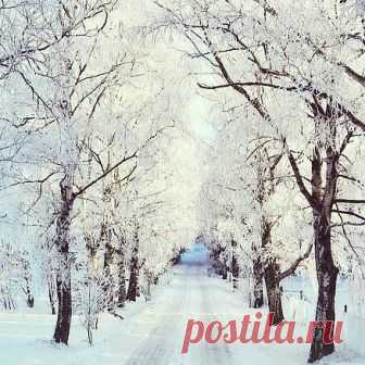 Not long until the Swedish snow disappears