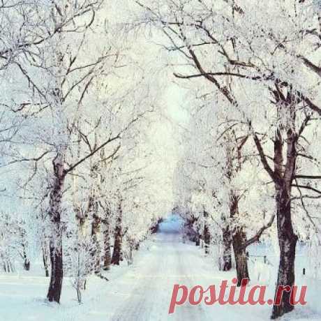 Not long until the Swedish snow disappears