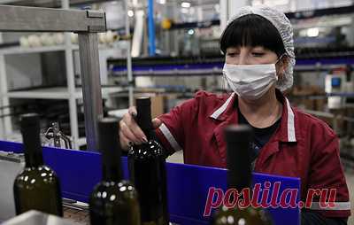 Минфин подготовил разъяснения о декларировании соответствия винодельческой продукции. Заявитель сможет через сервис на официальном сайте Росаккредитации подать заявление на регистрацию новой декларации о соответствии