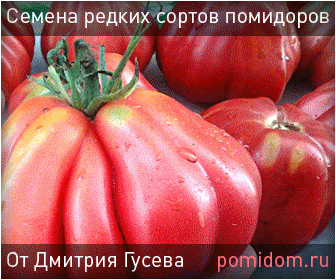 Сидераты, сидеральные культуры, зеленое удобрение, зеленый навоз