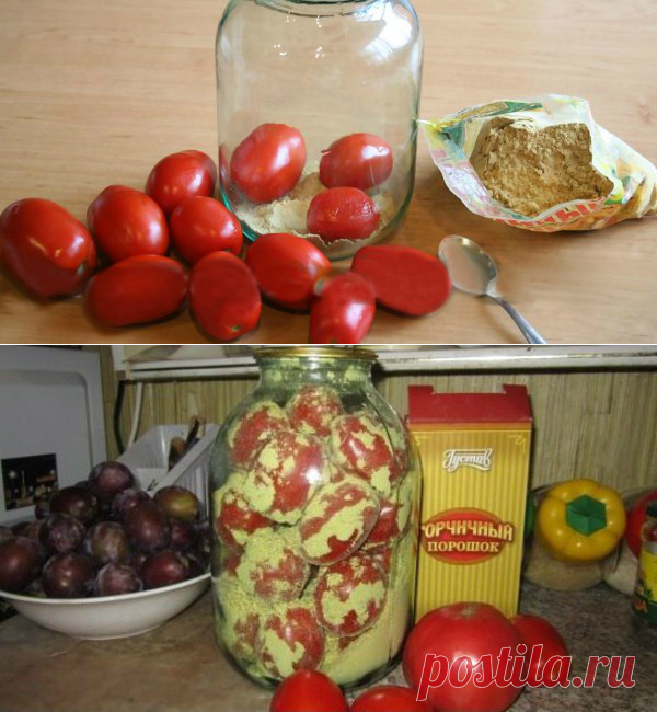 КАК СОХРАНИТЬ ПОМИДОРЫ СВЕЖИМИ ДО НОВОГО ГОДА: ПРОСТОЙ, НО ДЕЙСТВЕННЫЙ СПОСОБ!