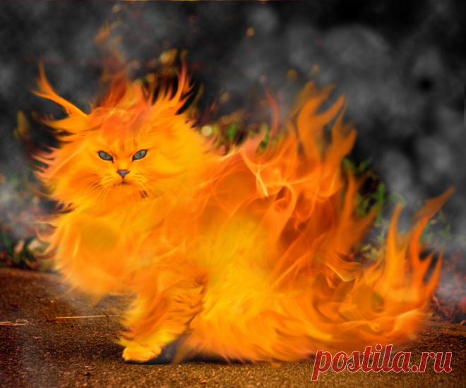 burn