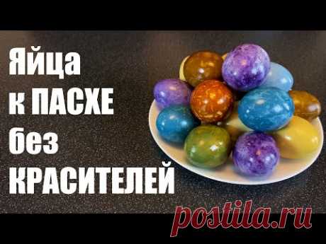 Яйца к ПАСХЕ натуральными красителями + БОНУС