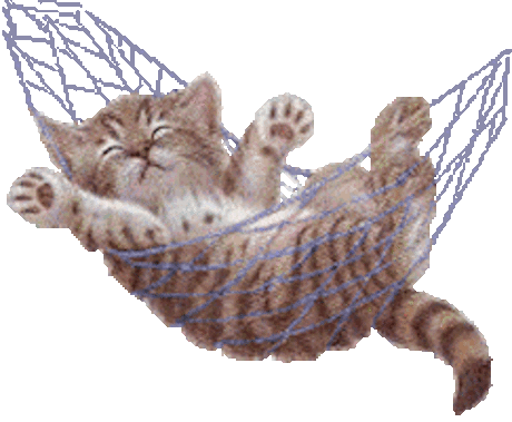 Cat Kitten Sticker for iOS &amp; Android | GIPHY Discover &amp; share this Cat Sticker for iOS and Android. Bring your texts and messages to life with our collection of GIPHY Stickers.