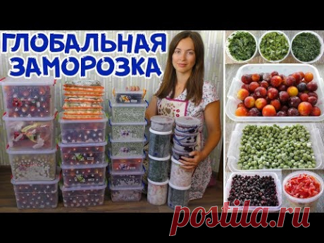 БОЛЬШАЯ ЗАМОРОЗКА ПРОДУКТОВ НА ЗИМУ! Как храню и Что замораживаю?