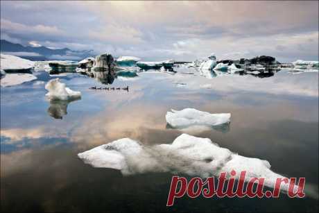 Жизнь во льдах, ледниковая лагуна Йокульсарлон, Исландия