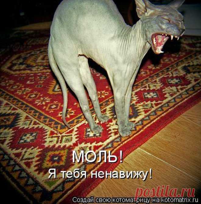 Минутка позитива: мысли вслух 




















































