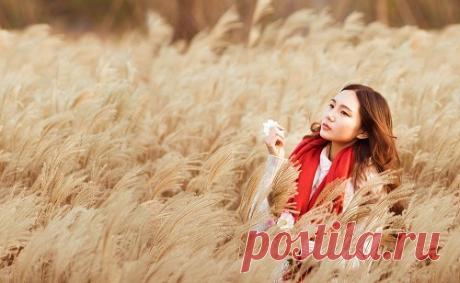 Психологическая диета...