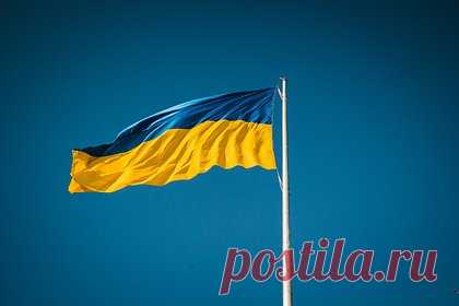 В США заявили о превращении Украины в пешку в прокси-войне с Россией. Кандидат в президенты США, племянник 35-го американского лидера Роберт Кеннеди-младший рассказал, что Вашингтон превратил Украину в пешкой в своей прокси-войне с Россией. По его словам, Соединенные Штаты упустили множество возможностей мирно урегулировать ситуацию на Украине, добавив, что их действия вредят Киеву.