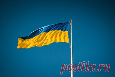 В США заявили о превращении Украины в пешку в прокси-войне с Россией. Кандидат в президенты США, племянник 35-го американского лидера Роберт Кеннеди-младший рассказал, что Вашингтон превратил Украину в пешкой в своей прокси-войне с Россией. По его словам, Соединенные Штаты упустили множество возможностей мирно урегулировать ситуацию на Украине, добавив, что их действия вредят Киеву.