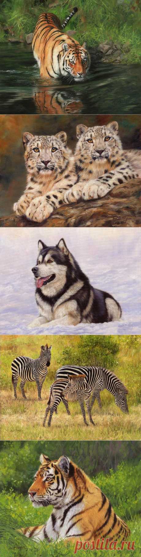 Английский художник Devid Stribbling