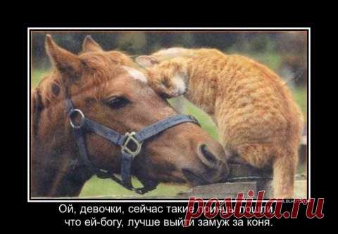 миром правит Любовь!..
