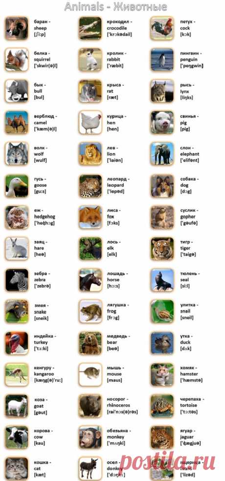 Картинки, которые вдохновляют на учебу! 50 новых слов за один вечер. — Копилочка полезных советов