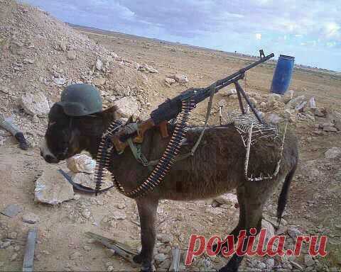 Фотографии сайта «Все об оружии»