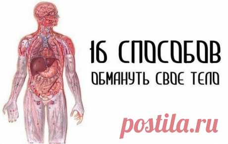 16 способов обмануть своё тело