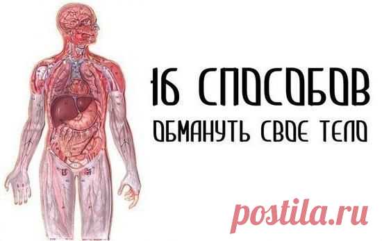 16 способов обмануть своё тело
