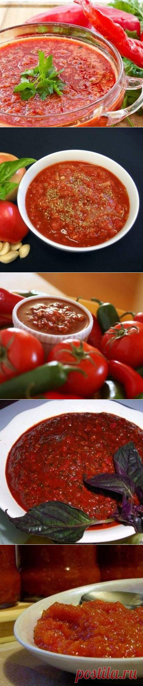 16 рецептов приготовления аджики. Очень вкусно - Простые рецепты Овкусе.ру