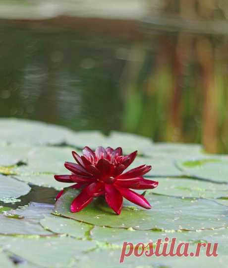 Редактировать описание