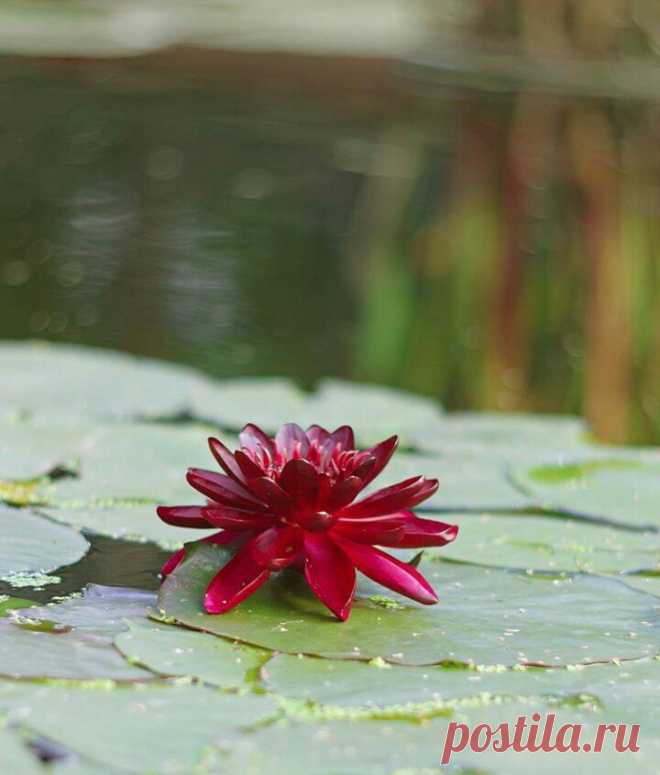 Редактировать описание