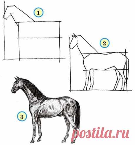 Учимся рисовать | Записи в рубрике Учимся рисовать | На пути к мечте