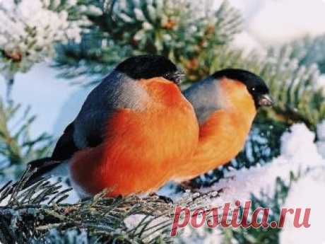 Мой Мир@Mail.Ru