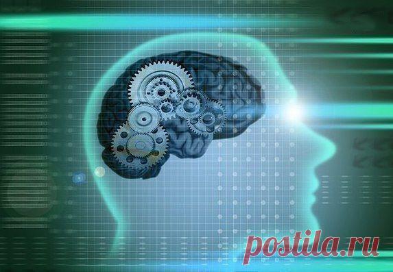 Как развить память. Секрет секретов!