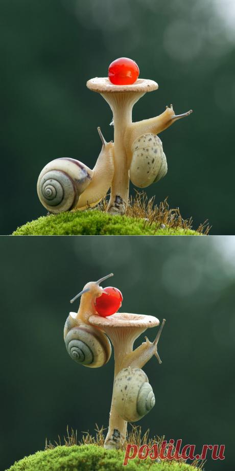 35PHOTO - Anatolih - Кто успел, тот и съел