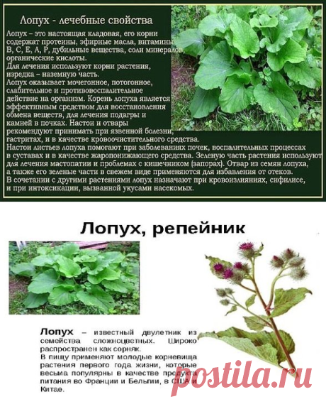 (1) Одноклассники