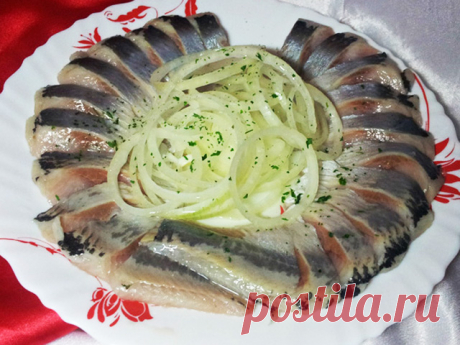 Cеледка малосольная - ПАЛЬЧИКИ ОБЛИЖЕШЬ. Вкуснотища необыкновенная!