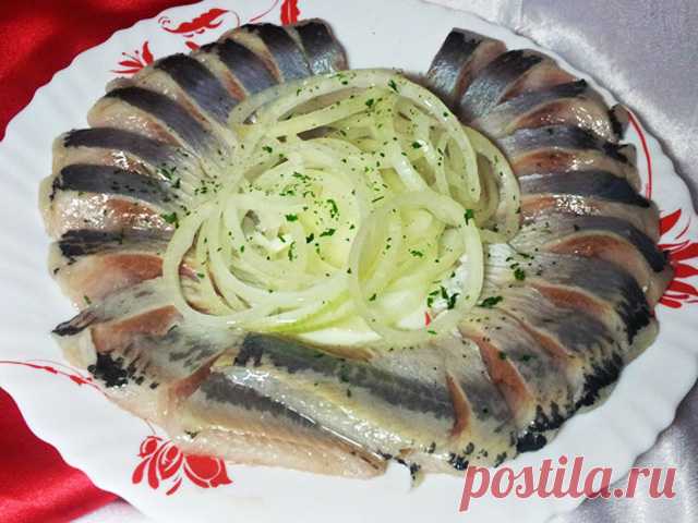 Cеледка малосольная - ПАЛЬЧИКИ ОБЛИЖЕШЬ. Вкуснотища необыкновенная!