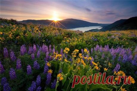 О МЕДИТАЦИИ «ВОССОЕДИНЕНИЕ С ПОТОКАМИ ЖИЗНИ» |