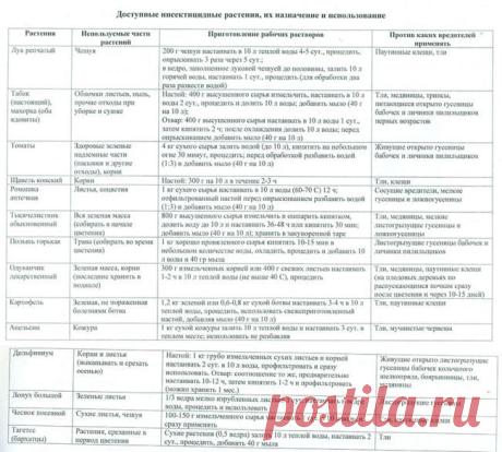 Выпуск №81 - Ландшафтный дизайн своими руками - идеи для дизайна сада