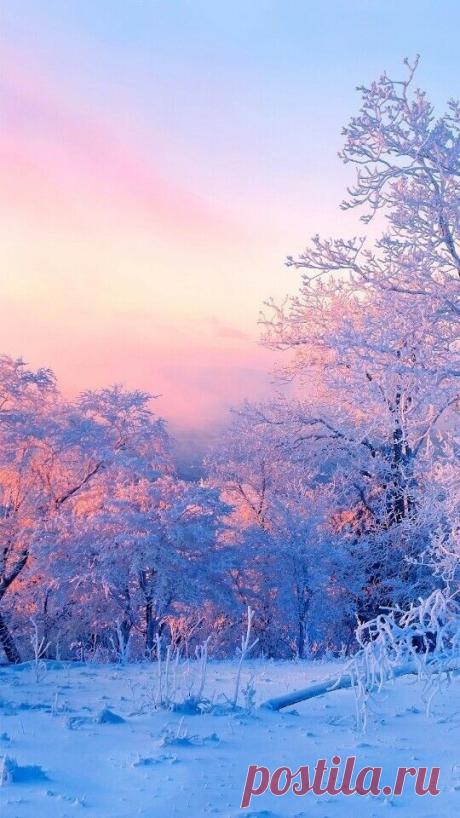 i (540×960)