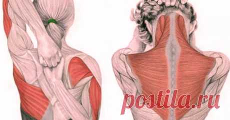 Упражнения для шеи: быстро освобождают от зажимов и нормализуют давление       Упражнения для шеи: Освобождают от зажимов и нормализуют давление           Следующие упражнения предназначены для расслабления напряж...